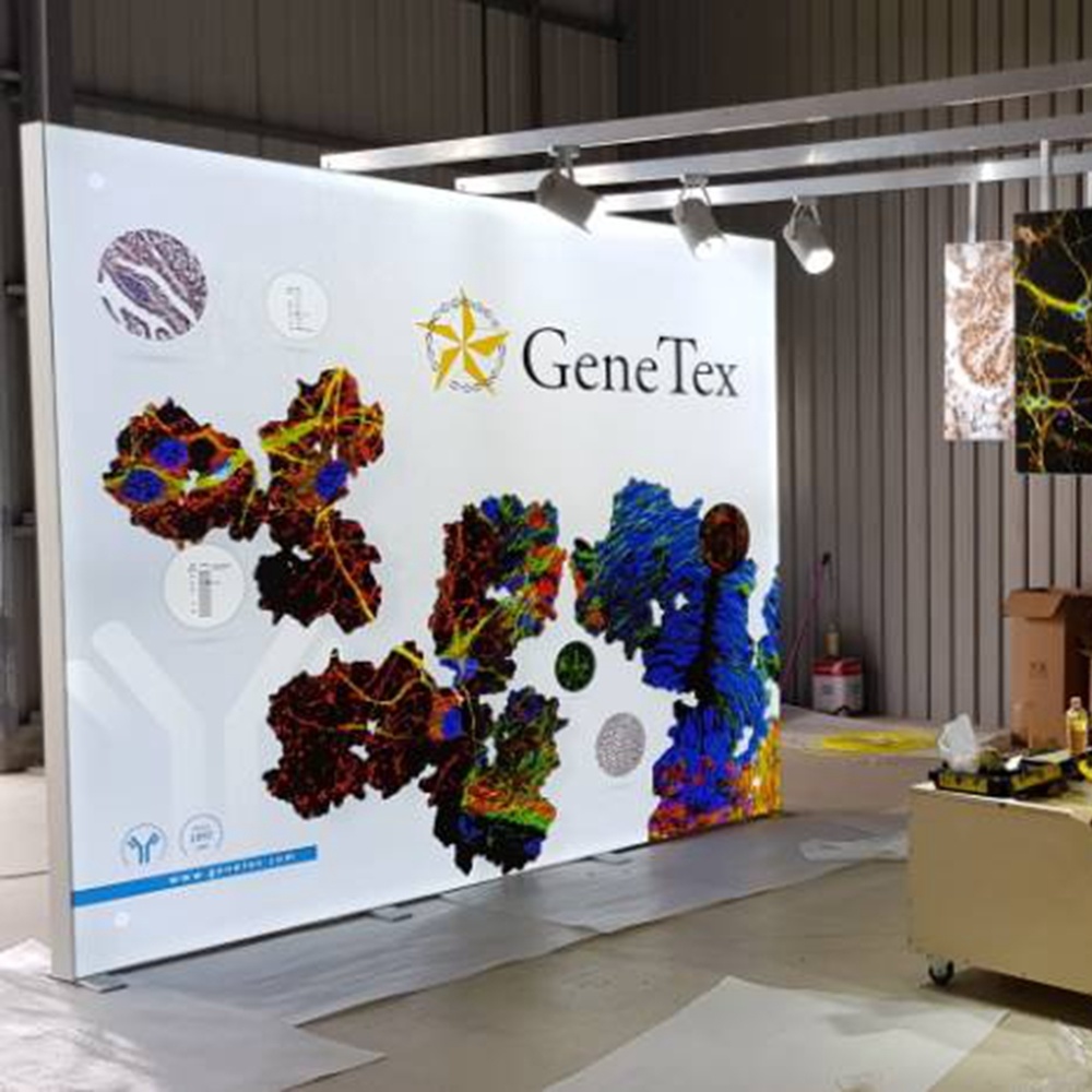 Segno Jiangmen materiale di alluminio del pannello posteriore senza telaio Banner tessile pubblicit&agrave; per Trade Show